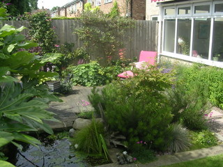 pink lounger formal pond in small garden lush planting no lawn contemporary garden design Knaresborough Yorkshire