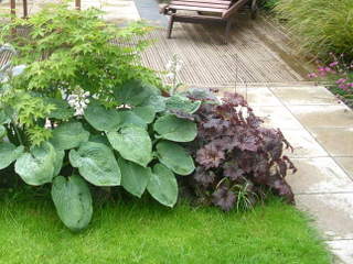 acer hosta and heuchera planting with timber deck and modern paving yorkshire