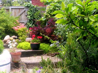 Leeds small garden with gravel steps with timber edge, plants in pots and cobbles