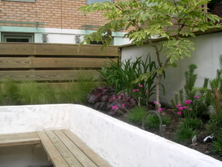 rendered white painted wall in built seating timber slat contemporary courtyard garden design