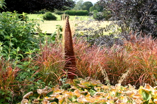 grasses around garden sculpture yorkshire