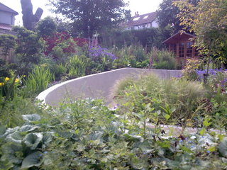 sloping path leads up the garden with rendered walls and accessible planting