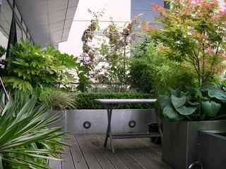 balcony Leeds Yorkshire decking and steel planter with box hedge climbers and architectural lush planting modern contemporary design